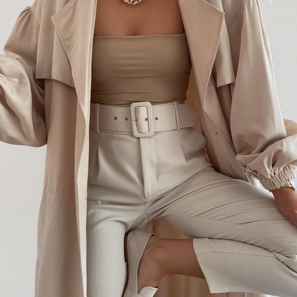 Zara High Waisted Belted Pants in Ecru